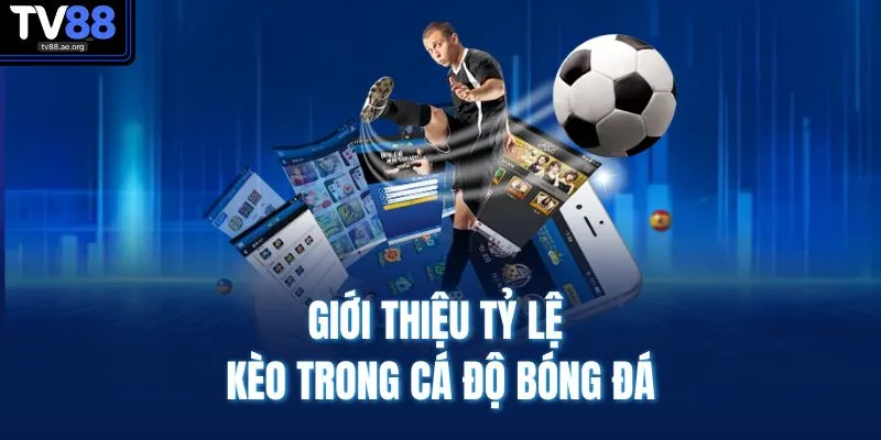 Cách Tính Tiền Trong Cá Độ Bóng Đá - Hiểu Nhanh Dễ Áp Dụng 2 Giới thiệu tỷ lệ kèo trong cá độ bóng đá